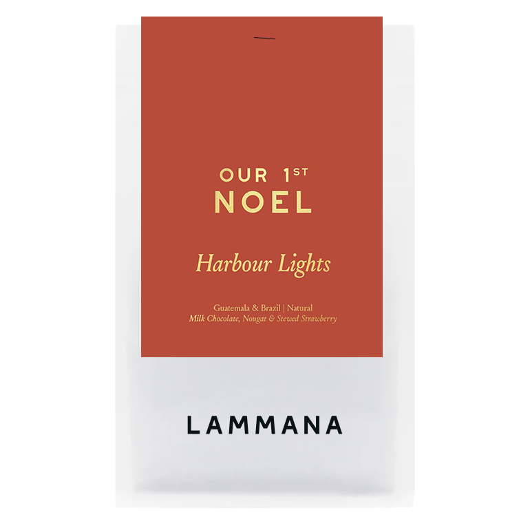 Our 1st Noel | Harbour Lights